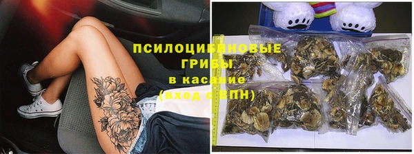 метадон Алексеевка