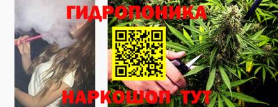 a pvp Чебоксары